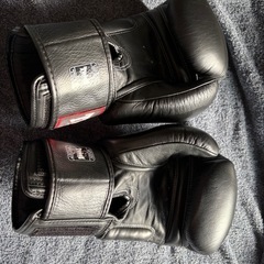 TWINS ボクシング　ムエタイ　グローブの画像