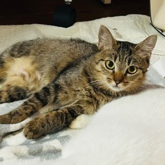 おめめクリクリ女子！ゆずちゃん♡