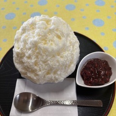 本日24日　中野、新宿、吉祥寺　ランチ行きませんか？