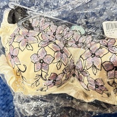 ブラとショーツセットです☆の画像