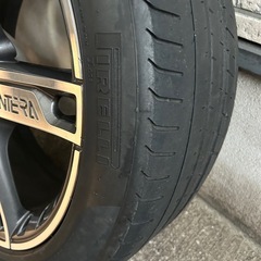 ANTER(アンティーラ)の画像