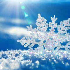 お友達を募集しています。