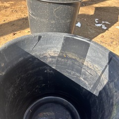 黒バケツの画像