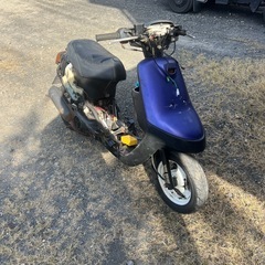 アプリオタイプ2本日のみ出品の画像