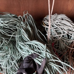 鳥よけネット　ロープ多数の画像