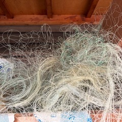 鳥よけネット　ロープ多数の画像