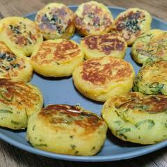 ☆☆お芋ちゃんをつくろう２０２６　参加者募集