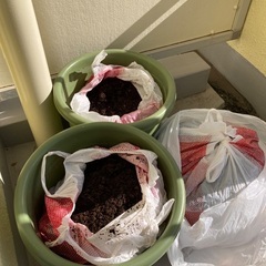 コーナン菜園ポット10号2個と土