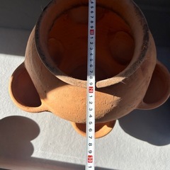 ストロベリーポットの画像