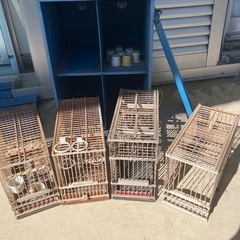 メジロカゴと棚　ジャンクの画像