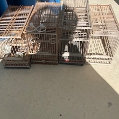 メジロカゴと棚　ジャンクの画像