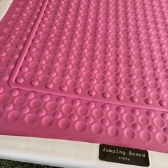 室内トランポリンの画像