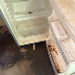 冷蔵庫11月２４日限定の画像