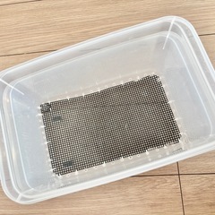 生き餌　飼育ケースの画像