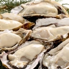 牡蠣三昧！！！生牡蠣🦪焼き牡蠣🦪、牡蠣のアヒージョなどなど…