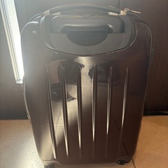 【傷あり、鍵無し】 Kayo Horaguchi 2.3泊用キャリーケースの画像