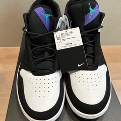 【新品未使用正規品】NIKE JORDAN Fadeawayの画像