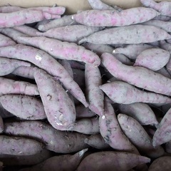 値下げ【訳あり】紅はるか　さつまいも　2キロの画像