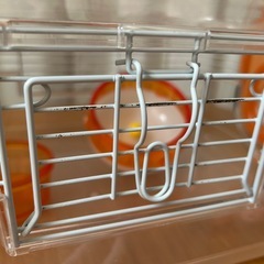 ハムスター飼育セットヒーター付き
の画像