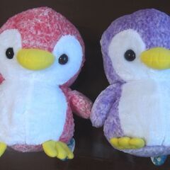 ★★ ペンギン★★ ぬいぐるみ セットの画像