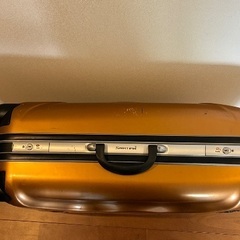 ⭐️【格安！】LLサイズ！おしゃれなスーツケース、キャリーケース！100 Lタイプ！の画像