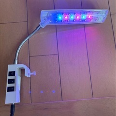 【決まりました】水槽用　LEDライトの画像