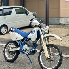 SUZUKI DR250S オフ車の画像