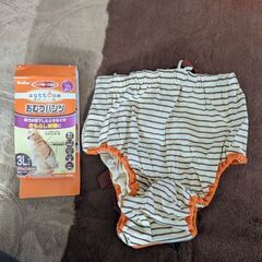 大型犬♡オムツの画像