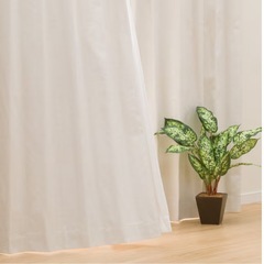ニトリ　アンドスタイル　遮光1級・遮熱・遮音カーテン(RD007 アイボリー 100X110X2)の画像