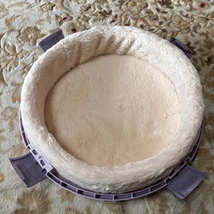 猫用キャリーケースの画像