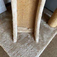 キャットタワーの画像
