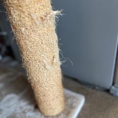 キャットタワーの画像