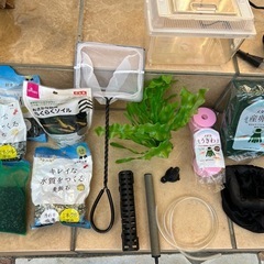 【決まりました】水槽用品いろいろの画像