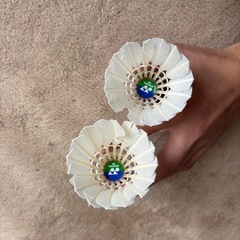 極上 バドミントンシャトルの画像