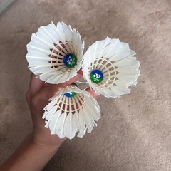 極上 バドミントンシャトルの画像