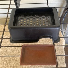 爬虫類飼育セットの画像