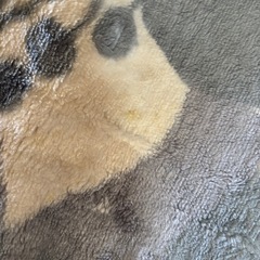 無料　ラグマット キッチンマット　マットレスも一緒にお願いします。の画像