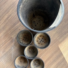 植木鉢　プラ鉢6個セット SHALLOW BLACK PLASTIC POTの画像