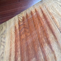 お譲り先お決まりです。無料　電気カーペットキッチン の画像