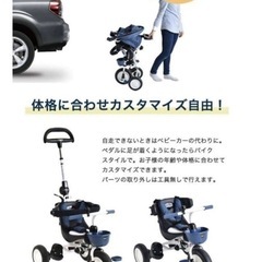 アイデスコンポフィット2 デニムブルーの画像