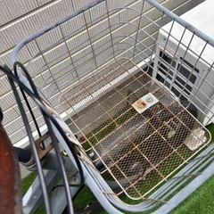 自転車と空気入れセットの画像