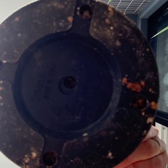 アガベ  シュレベイ⭐︎まとめ割します！の画像