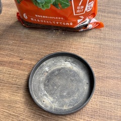 アガベ  シュレベイ⭐︎まとめ割します！の画像