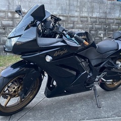 NINJA250rの画像