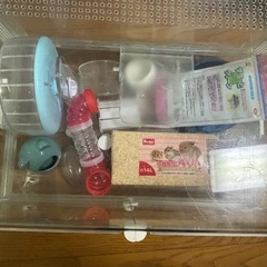 ハムスター 飼育セットの画像