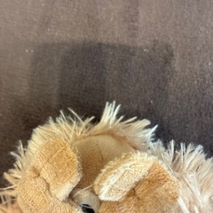 オランウータン Baby Coco ぬいぐるみの画像