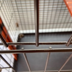 【差し上げます】キャットケージの画像