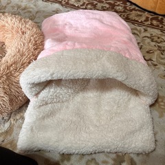 【決まりました】猫用ペットハウスの画像