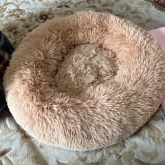 【決まりました】猫用ペットハウスの画像