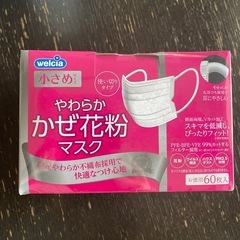 11/24★★⭐︎マスク無料⭐︎★★不織布60枚入り（小さめ）の画像